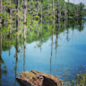 Meet your Posher, Lindsey